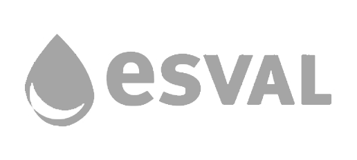 esv